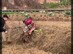Mini Power Tiller 4-WD-Self a propulsé le #directconnecte#MiniPowerTiller#Easyclimb de 180mm